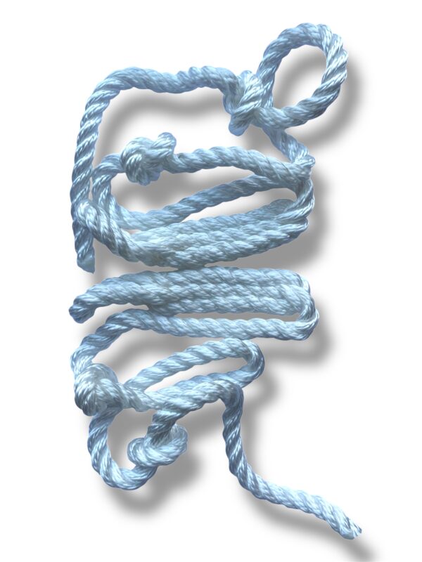 Cordón para Fórceps Ternero