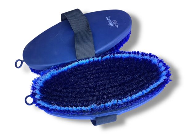 Escobilla Azul Marino