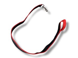 Correa de paseo 4cm x 1.2mt