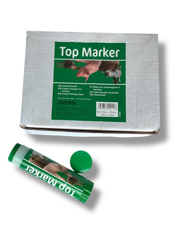 Lápiz marcar ganado Top Marker verde